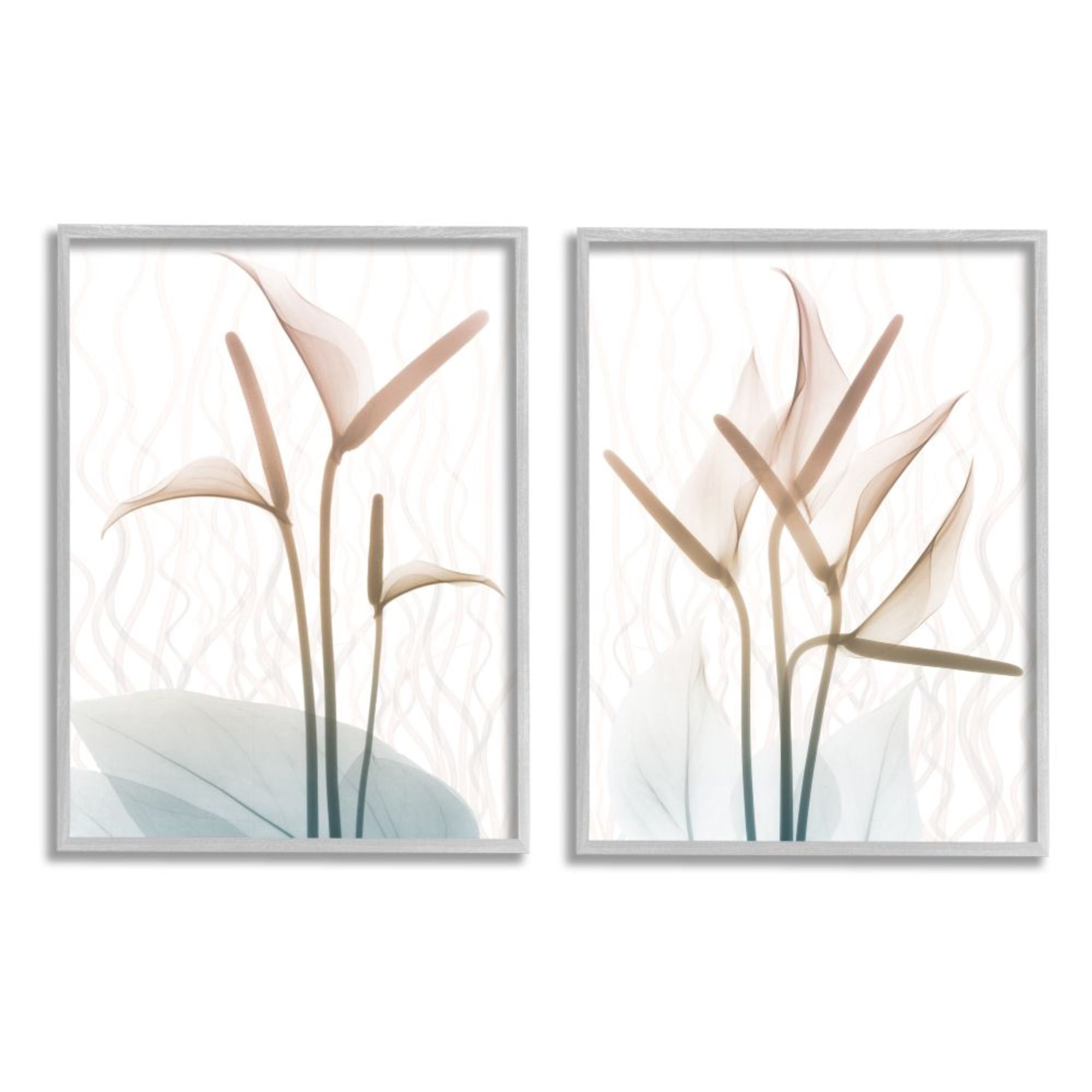Stupell Industries Floral Calla Lily Silhouette with Leaf Details Design by Albert Koetsier