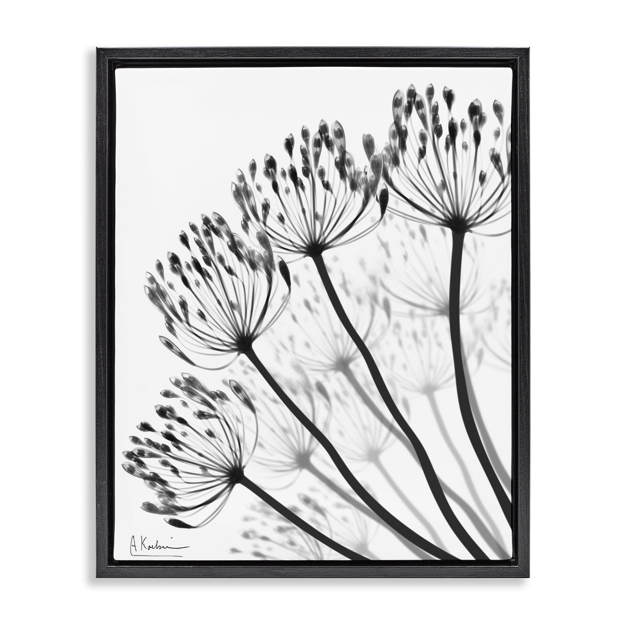 Stupell Industries Floral Fan Dandelions Black Framed Floater Canvas Wall Art, design by Albert Koetsier