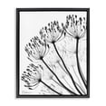 thumbnail image 1 of Stupell Industries Contemporary Floral Fan Dandelions Black Floating Frame Canvas Art, 17 x 21, by Albert Koetsier, 1 of 8