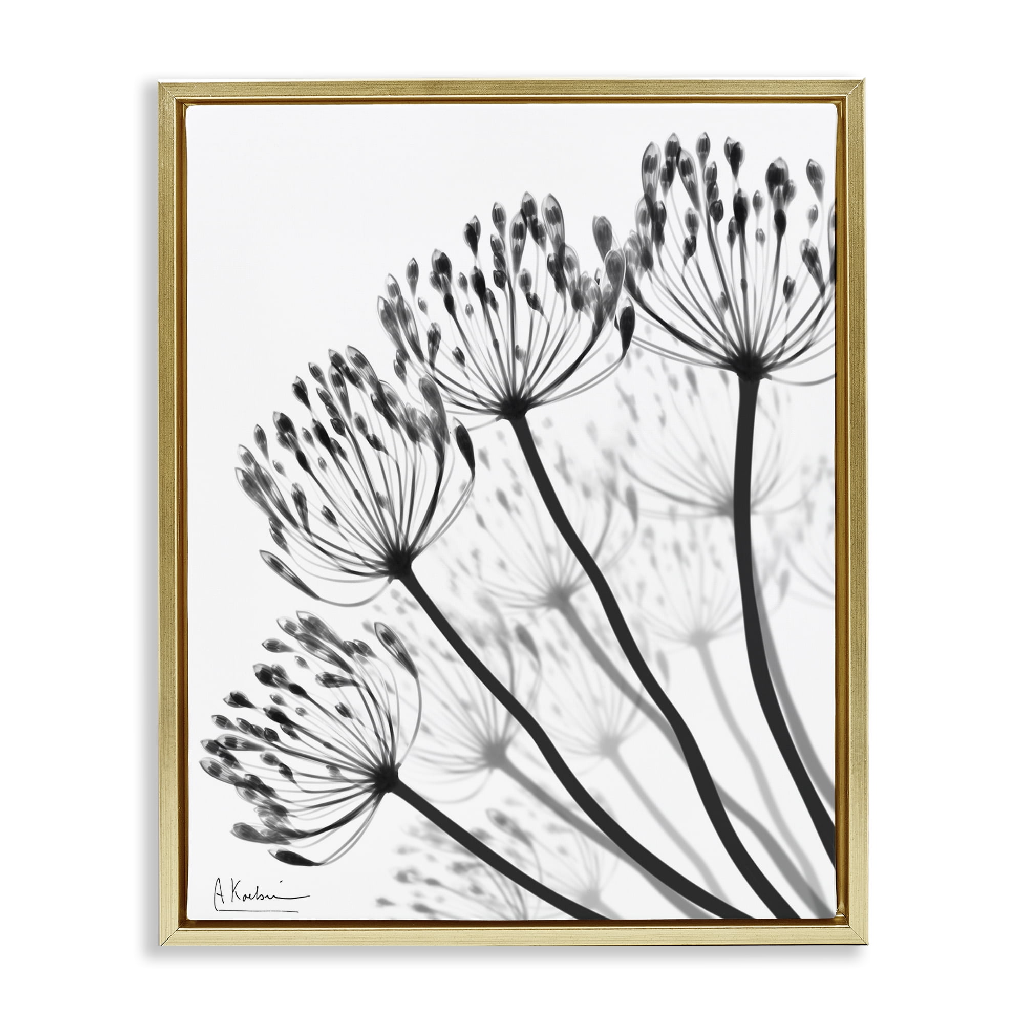 Stupell Industries Floral Fan Dandelions Gold Framed Floater Canvas Wall Art, design by Albert Koetsier
