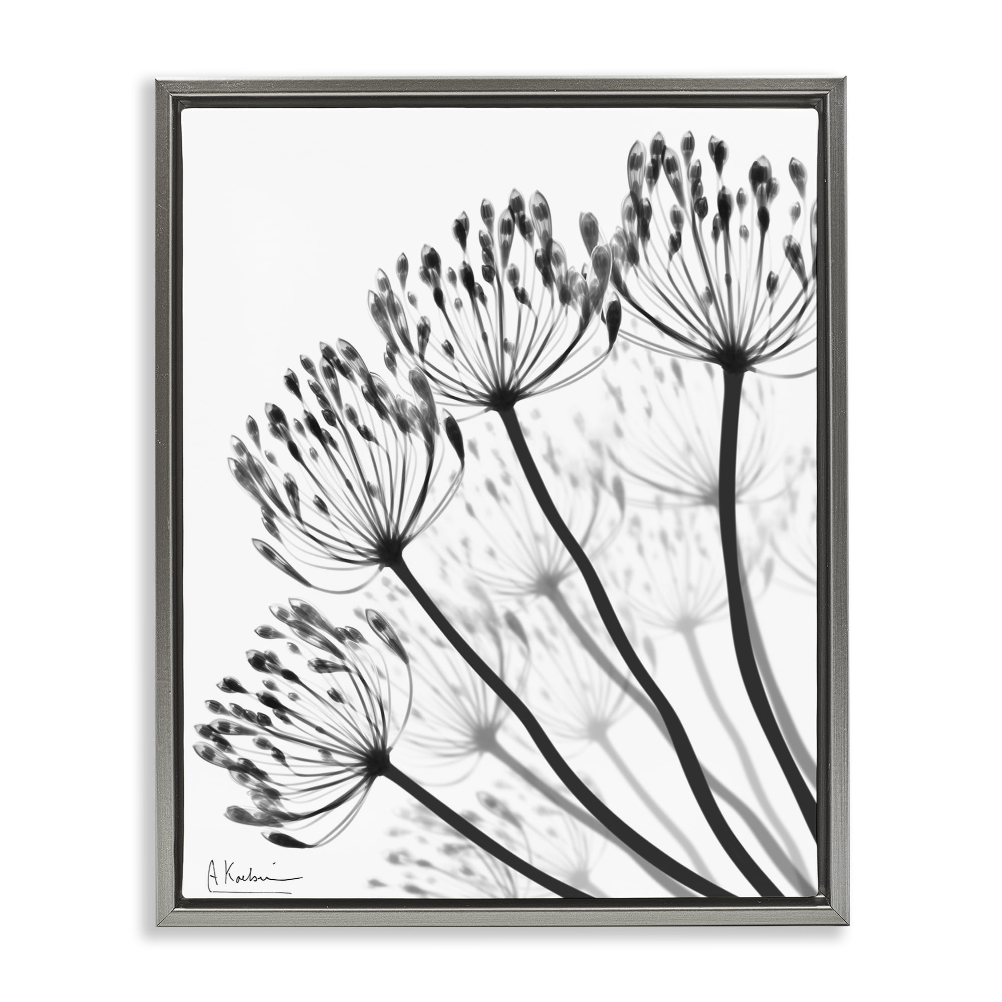 Stupell Industries Floral Fan Dandelions Gray Framed Floater Canvas Wall Art, design by Albert Koetsier