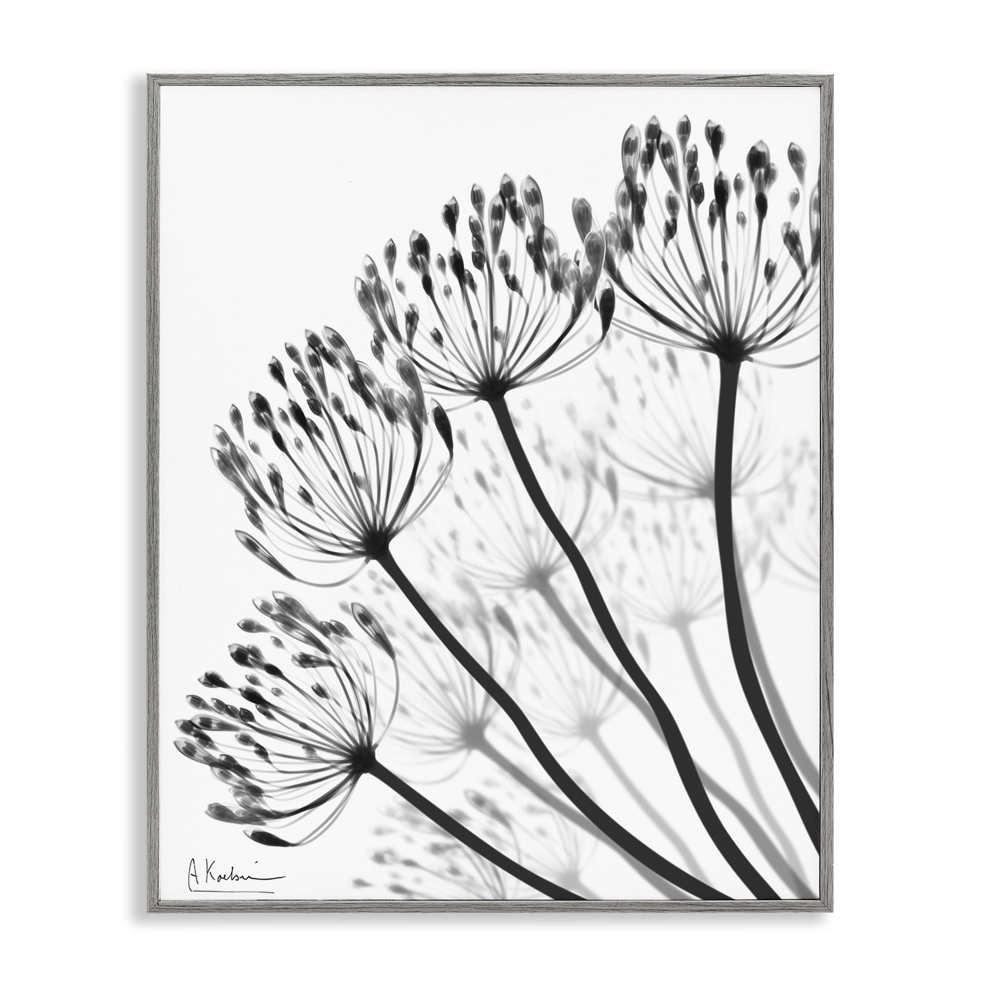 Stupell Industries Floral Fan Dandelions Gray Framed Giclee Art, design by Albert Koetsier