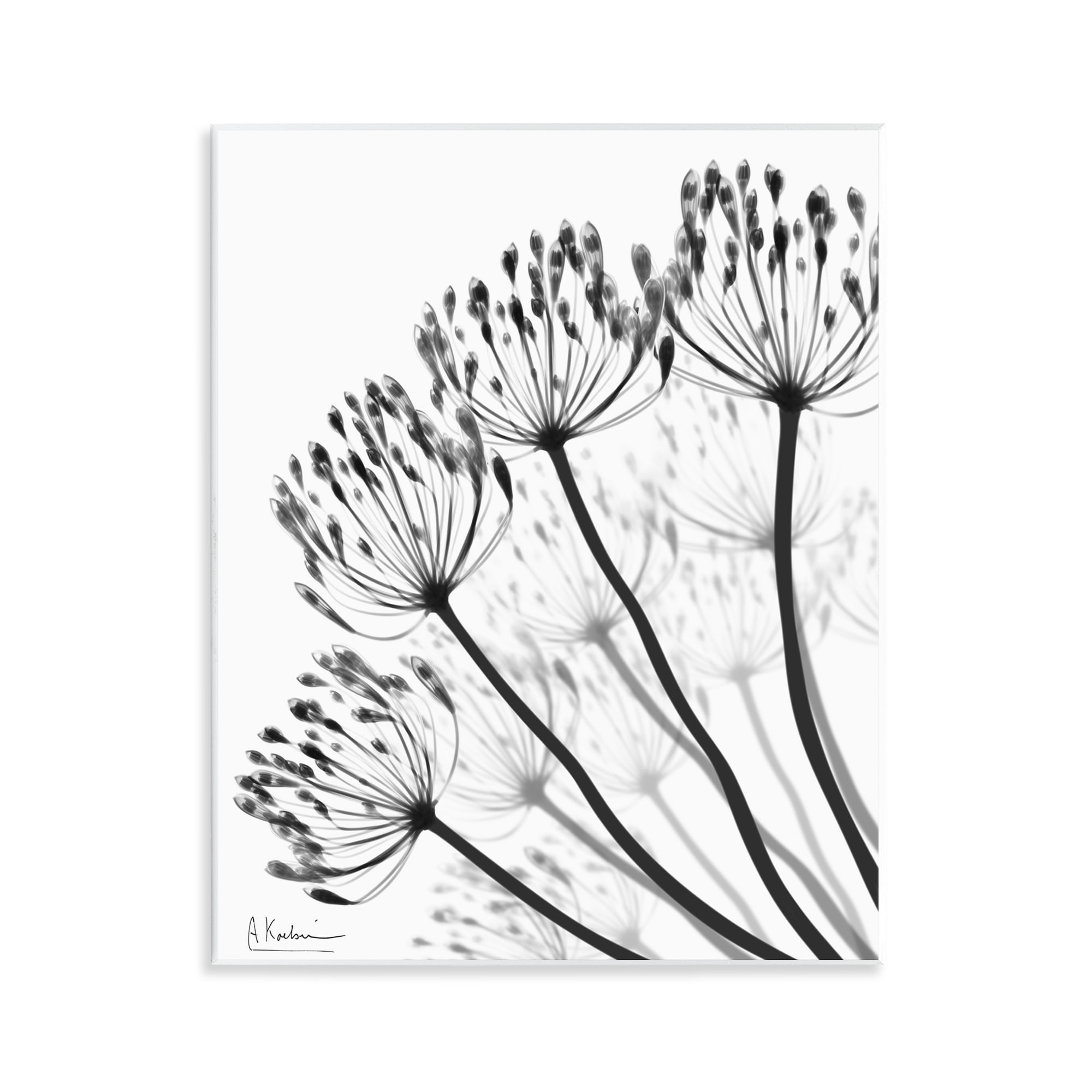 Stupell Industries Floral Fan Dandelions Wall Plaque Art, design by Albert Koetsier