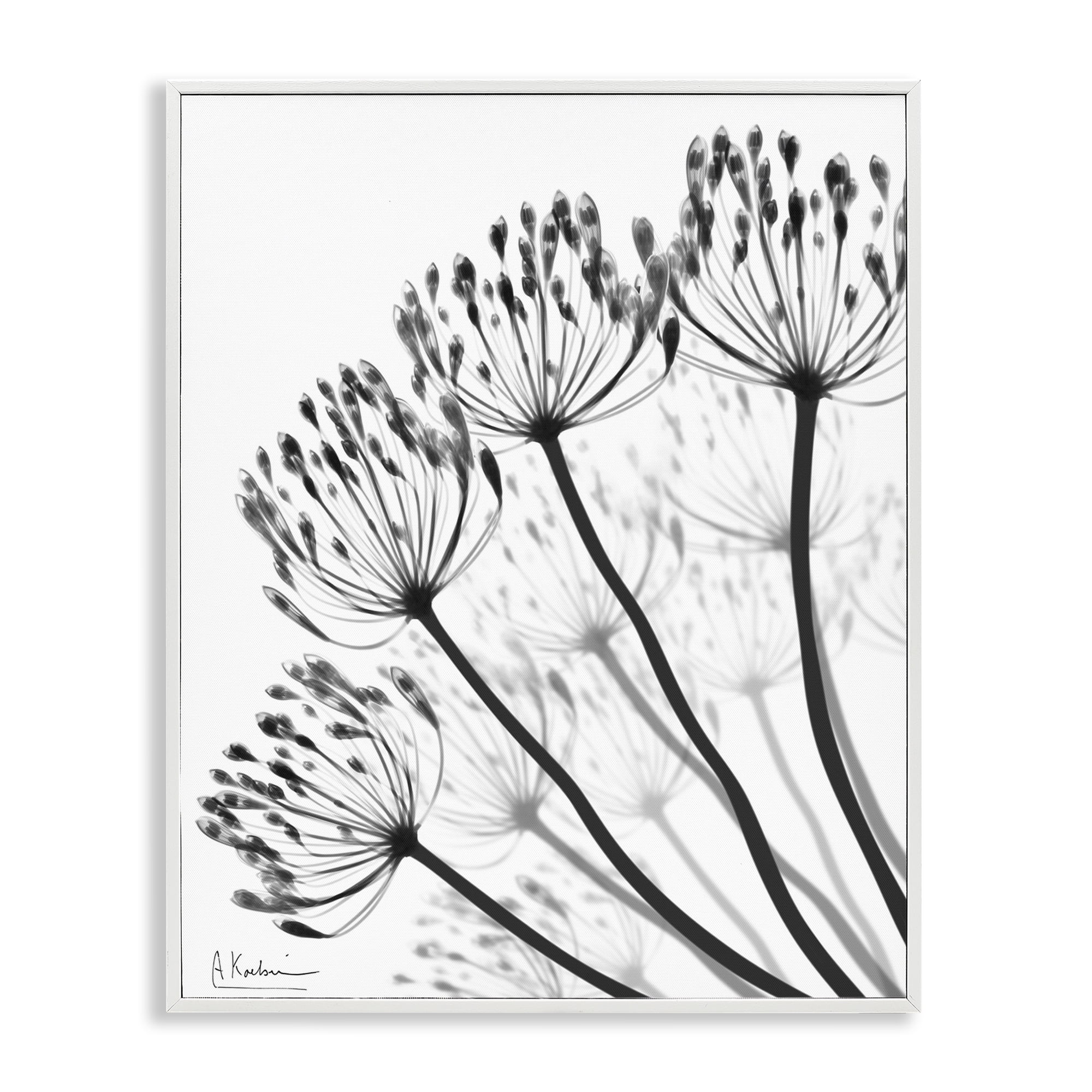Stupell Industries Floral Fan Dandelions White Framed Giclee Art, design by Albert Koetsier