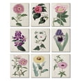 thumbnail image 1 of Stupell Industries Floral Garden Gems Vintage Spring Plant Study Botanical & Floral Painting Gallery Wrapped Canvas Art Print Wall Art, 11 x 14, Set of 9, 1 of 6