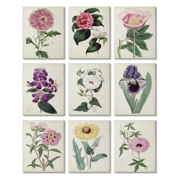 Stupell Industries Floral Garden Gems Vintage Spring Plant Study Botanical & Floral Painting Gallery Wrapped Canvas Art Print Wall Art, 11 x 14, Set of 9