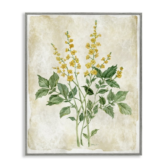 Stupell Industries Floral Journal Page Gray Framed Giclee Art design by Paul Brent, 30 x 24