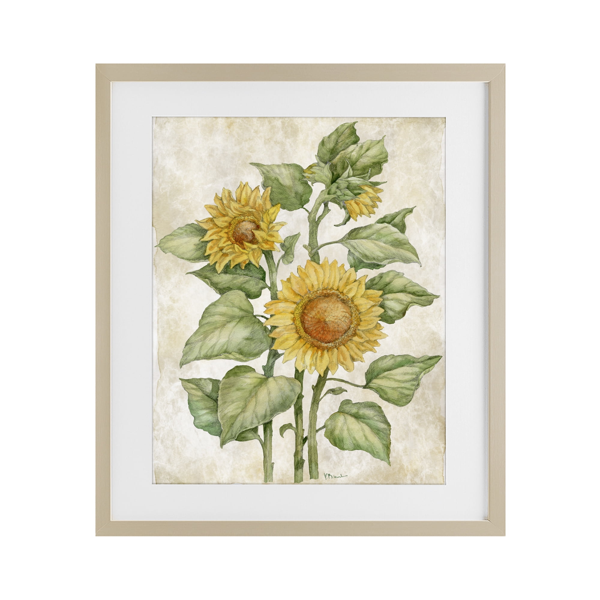 Stupell Industries Floral Journal Sunflower Birch Framed Print Under Glass, design by Paul Brent