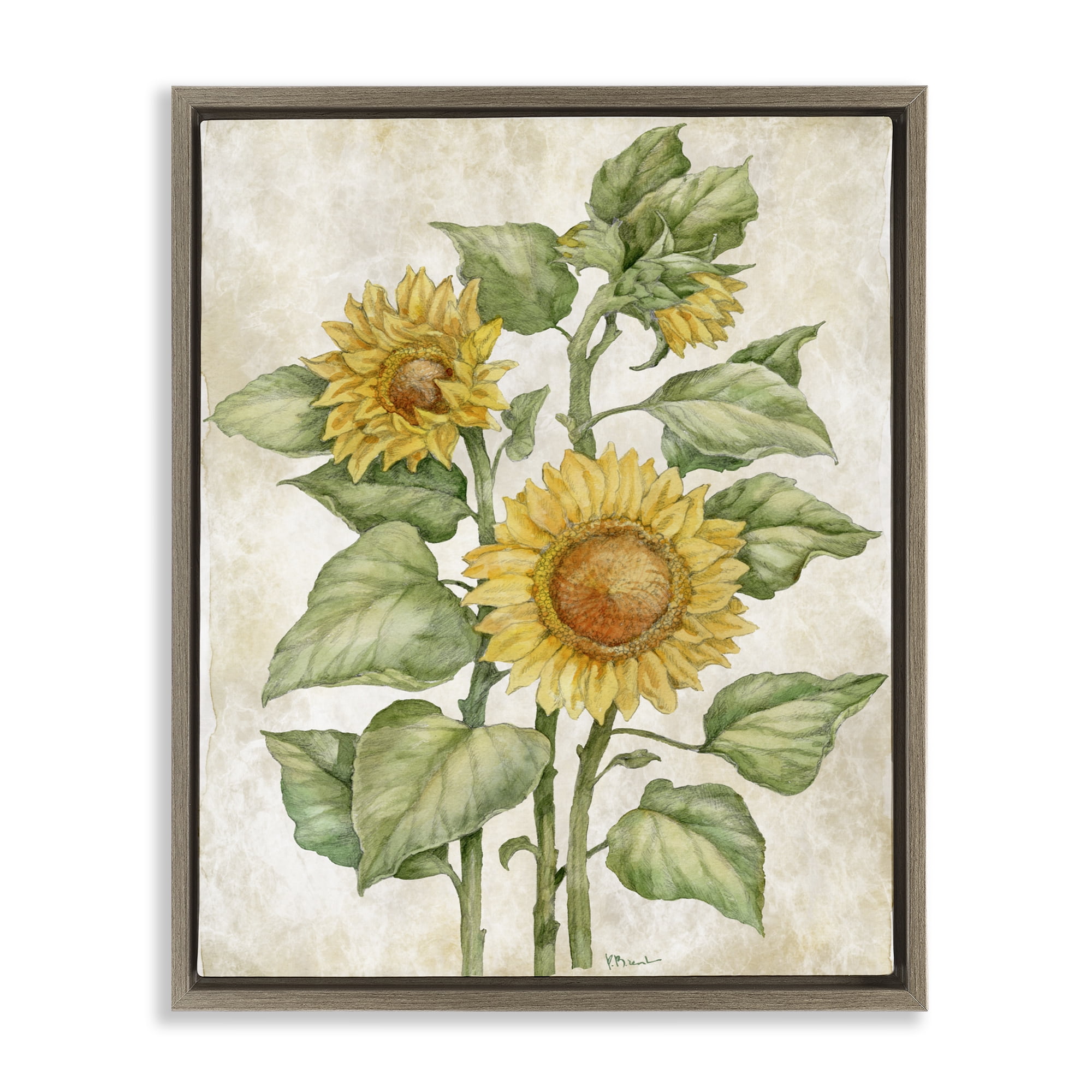 Stupell Industries Floral Journal Sunflower Brown Framed Floater Canvas Wall Art, design by Paul Brent