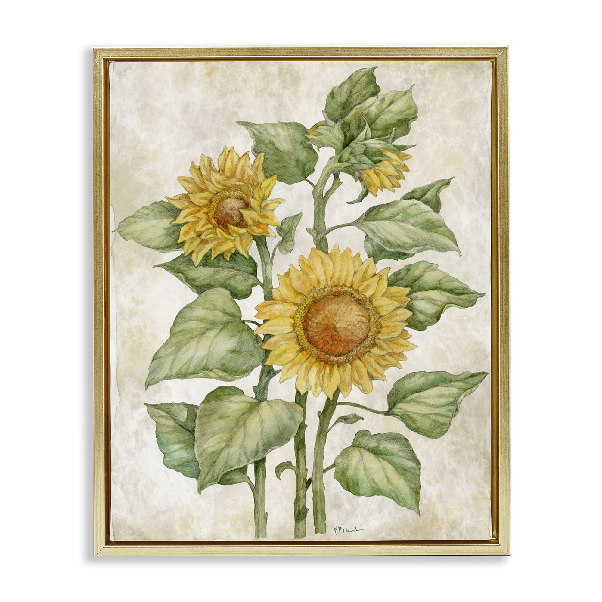 Stupell Industries Floral Journal Sunflower Gold Framed Floater Canvas Wall Art, design by Paul Brent