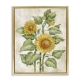 thumbnail image 1 of Stupell Industries Cottage Floral Journal Sunflower Gold Floating Frame Canvas Art, 25 x 31, by Paul Brent, 1 of 8