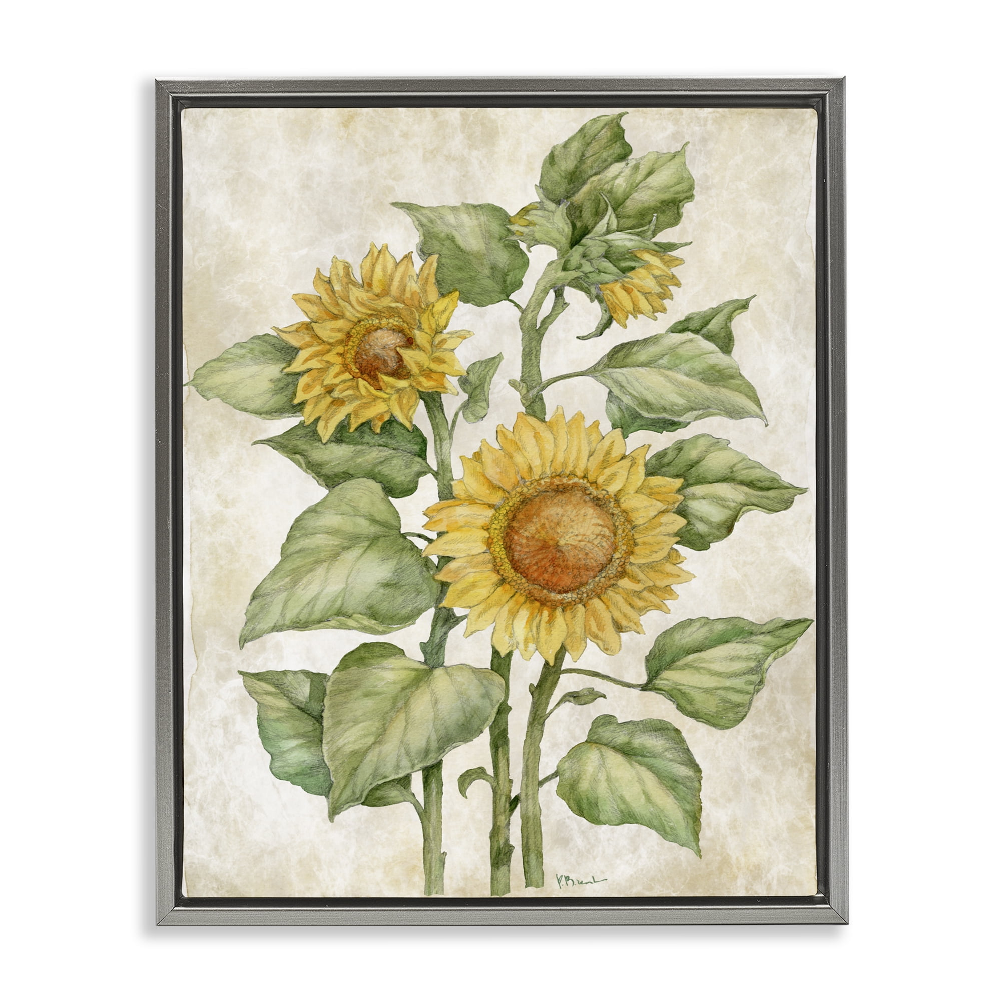 Stupell Industries Floral Journal Sunflower Gray Framed Floater Canvas Wall Art, design by Paul Brent