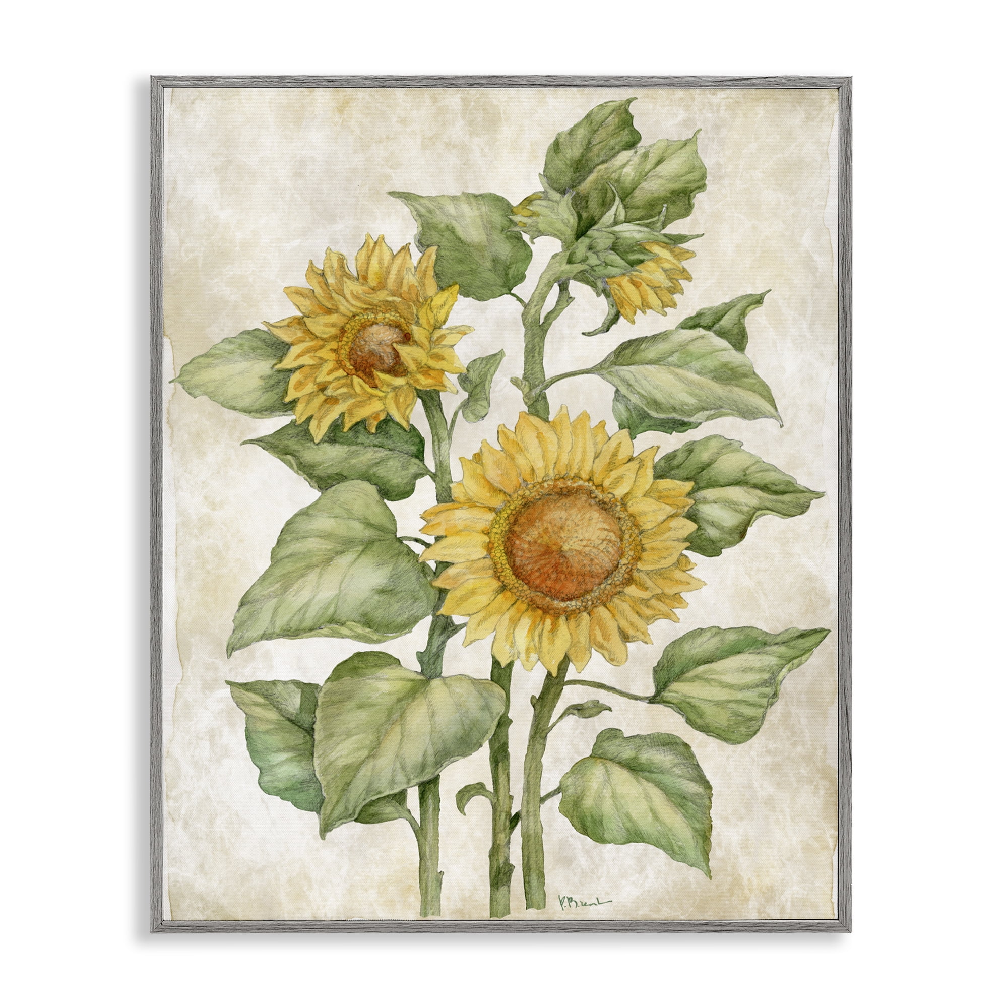 Stupell Industries Floral Journal Sunflower Gray Framed Giclee Art, design by Paul Brent