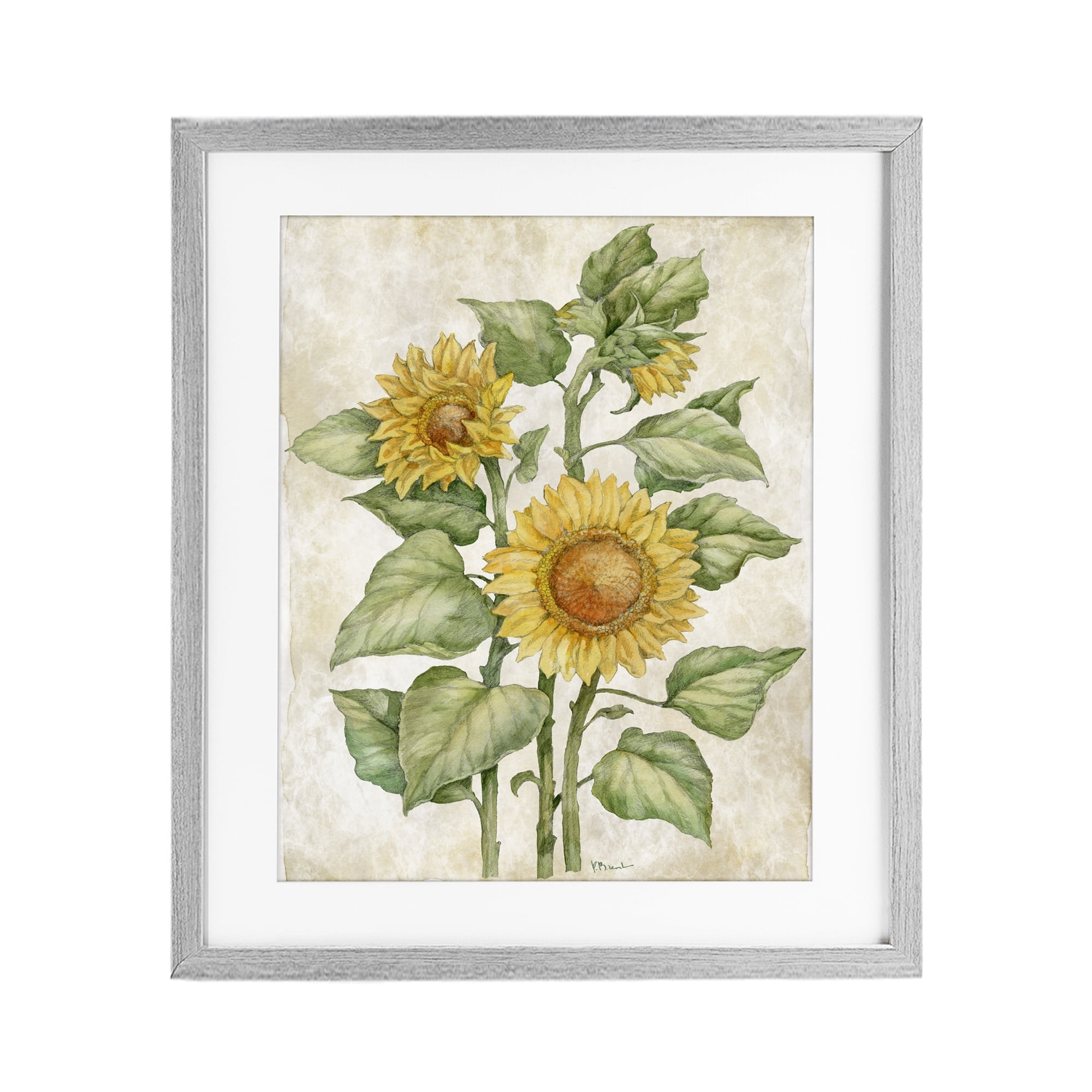 Stupell Industries Floral Journal Sunflower Gray Framed Print Under Glass, design by Paul Brent