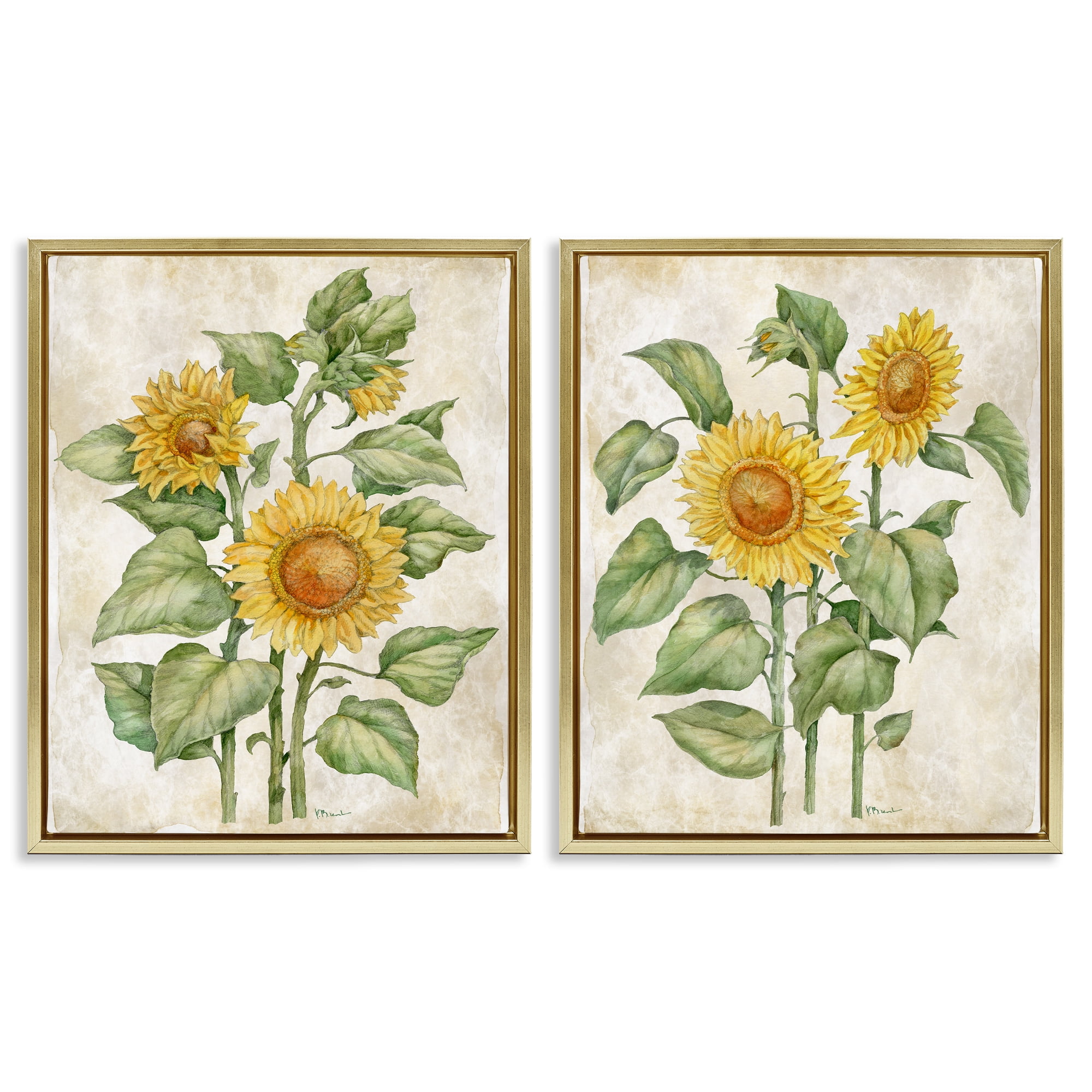 Stupell Industries Floral Journal Sunflower Studies 2 Piece Gold Framed Floater Canvas Set, design by Paul Brent