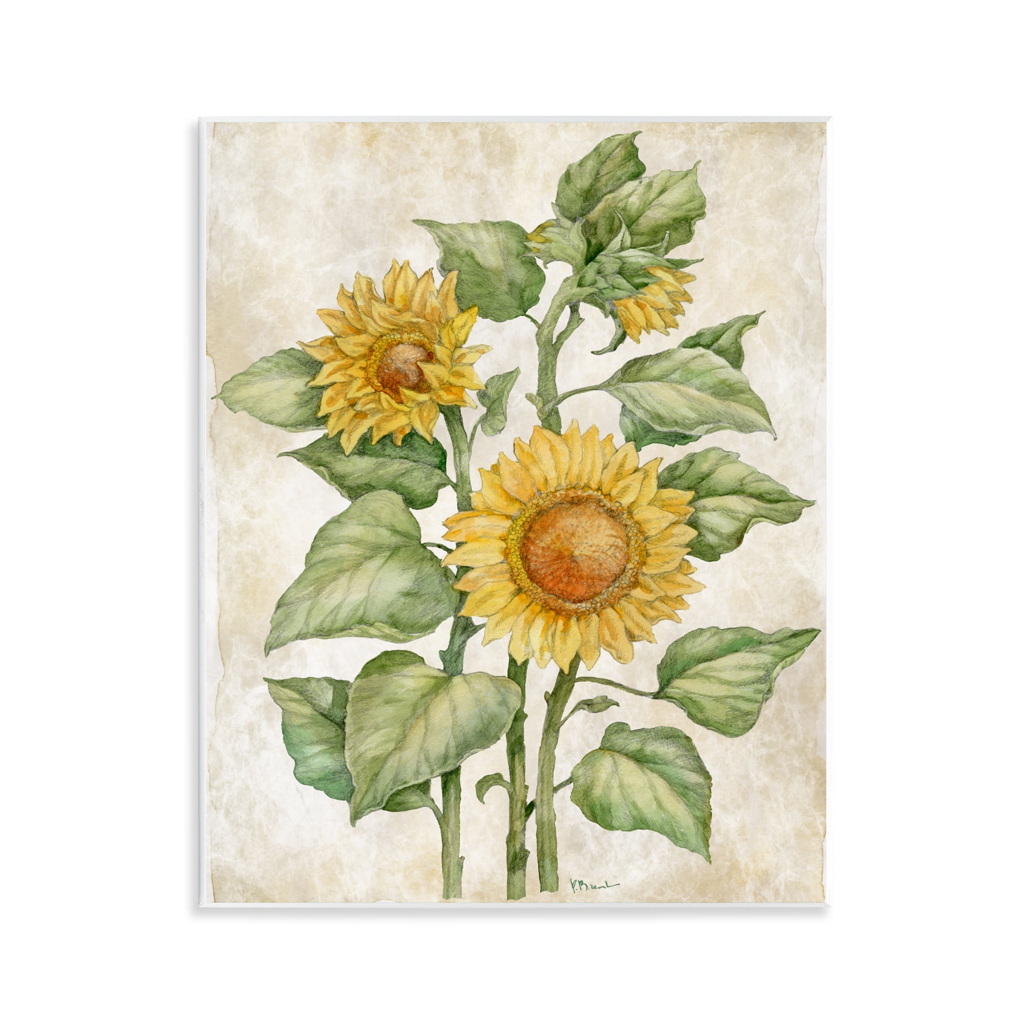 Stupell Industries Floral Journal Sunflower Wall Plaque Art, design by Paul Brent
