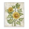 thumbnail image 1 of Stupell Industries Cottage Floral Journal Sunflower White Framed Giclee Art, 16 x 20, by Paul Brent, 1 of 8