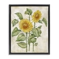 thumbnail image 1 of Stupell Industries Cottage Floral Journal Vintage Sunflower Black Floating Frame Canvas Art, 17 x 21, by Paul Brent, 1 of 8