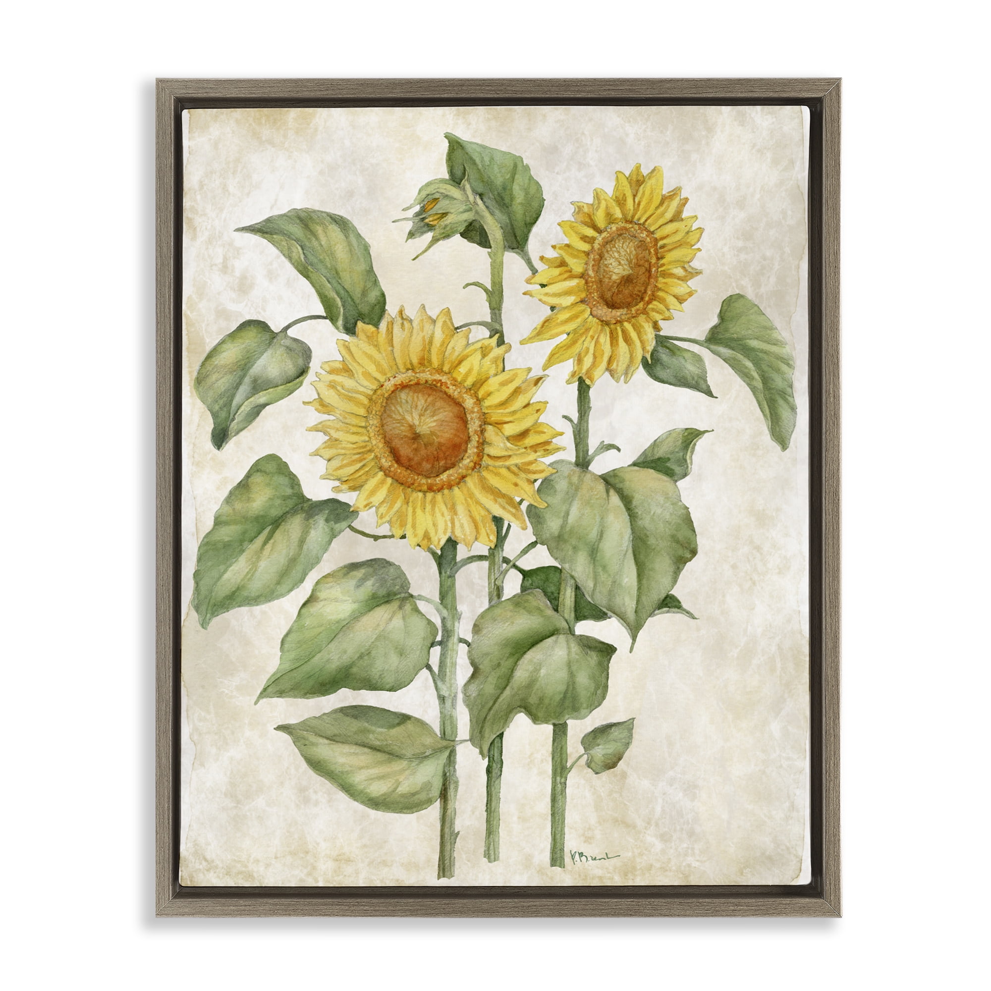 Stupell Industries Floral Journal Vintage Sunflower Brown Framed Floater Canvas Wall Art, design by Paul Brent