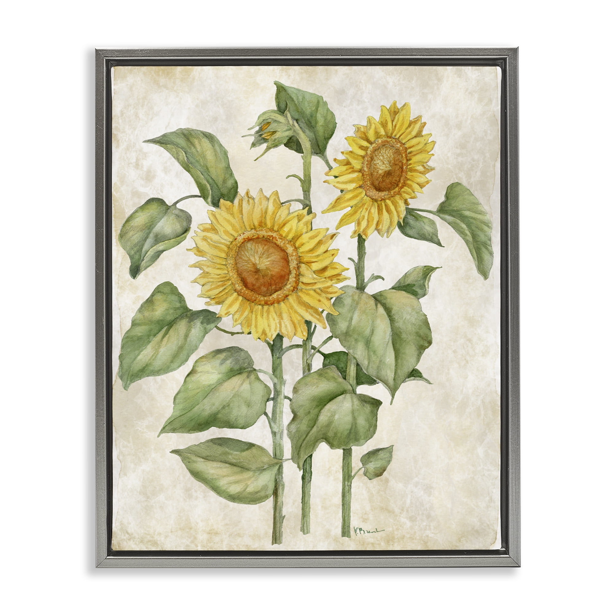 Stupell Industries Floral Journal Vintage Sunflower Gray Framed Floater Canvas Wall Art, design by Paul Brent
