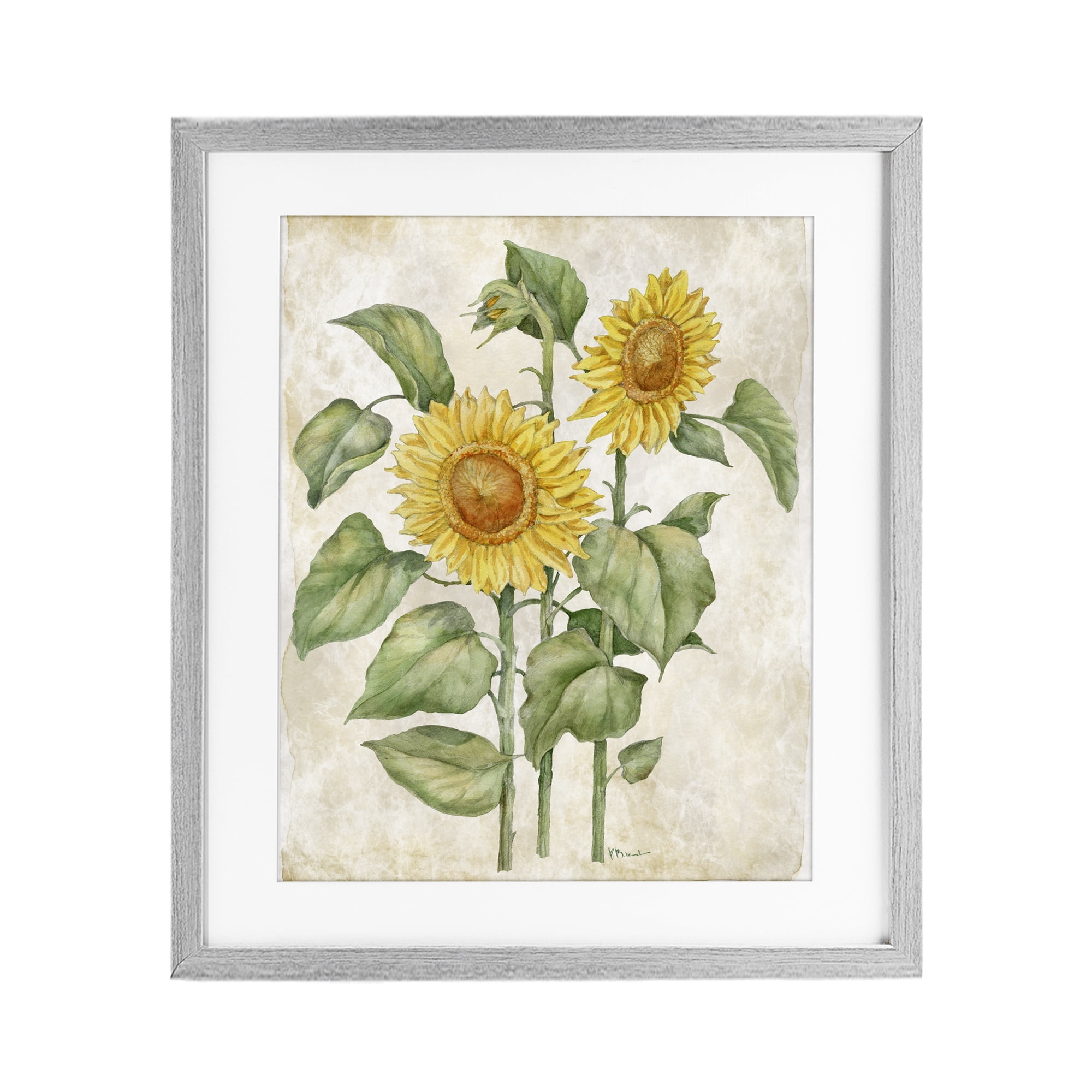 Stupell Industries Floral Journal Vintage Sunflower Gray Framed Print Under Glass, design by Paul Brent