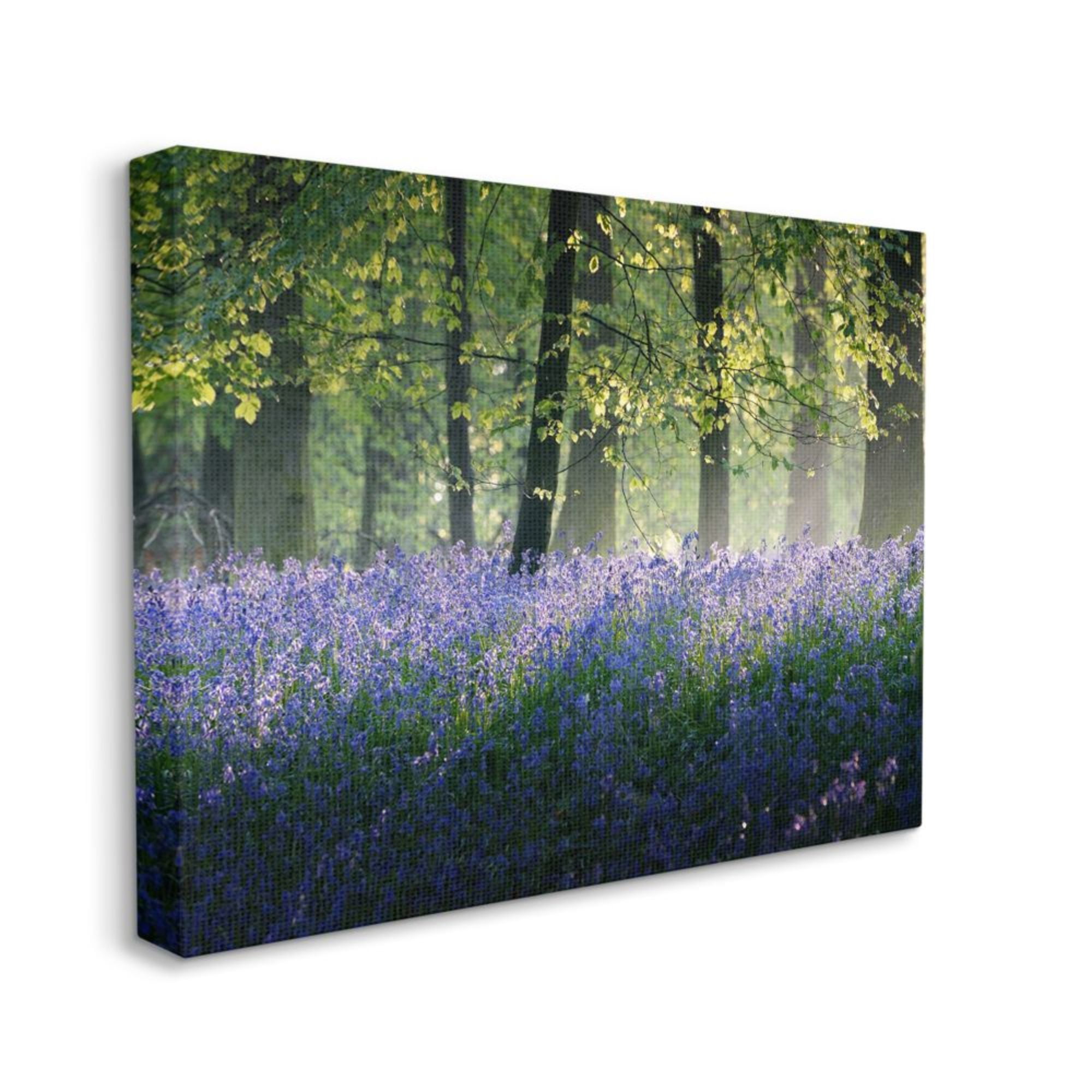 Stupell Industries Floral Lavender Field Morning Tree Forest Light Design by Adelino Goncalves, 16" x 20"