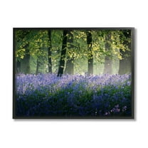 Stupell Industries Floral Lavender Field Morning Tree Forest Light Design by Adelino Goncalves