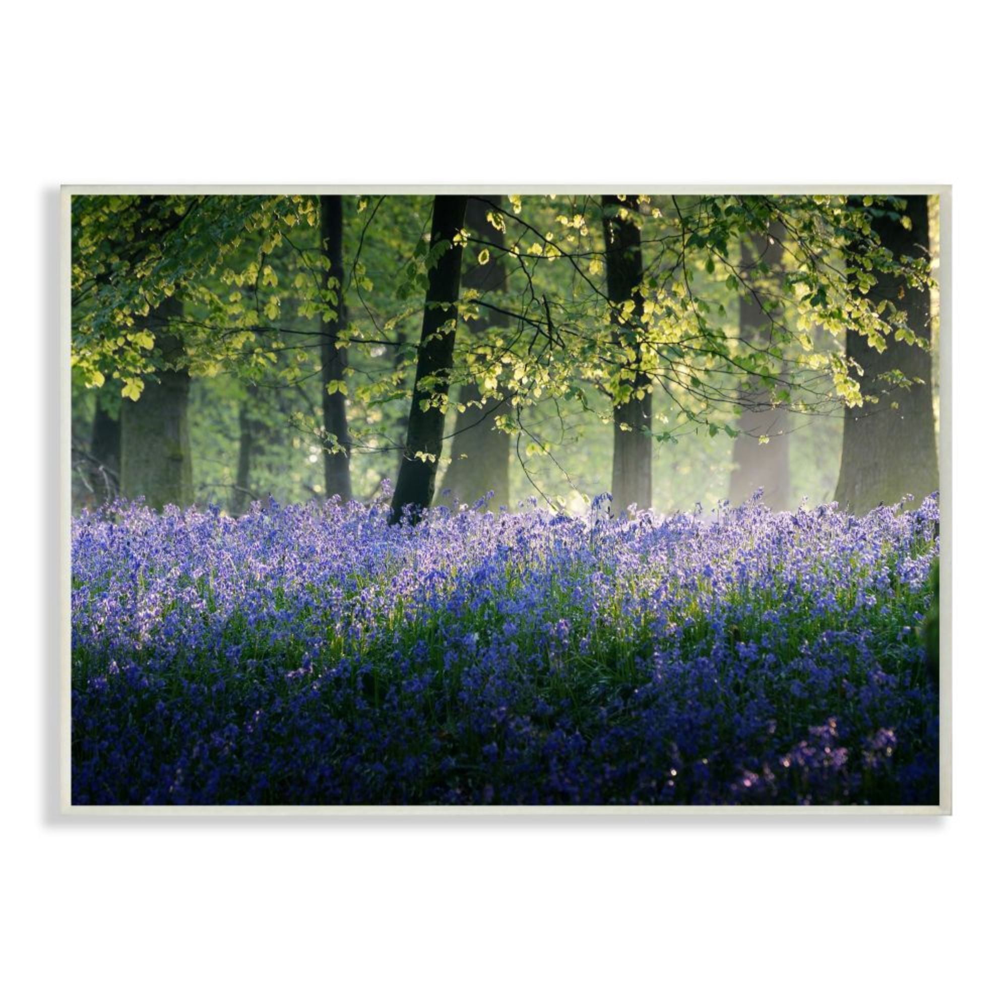 Stupell Industries Floral Lavender Field Morning Tree Forest Light Design by Adelino Goncalves