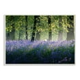 thumbnail image 1 of Stupell Industries Floral Lavender Field Morning Tree Forest Light Design by Adelino Goncalves, 1 of 6