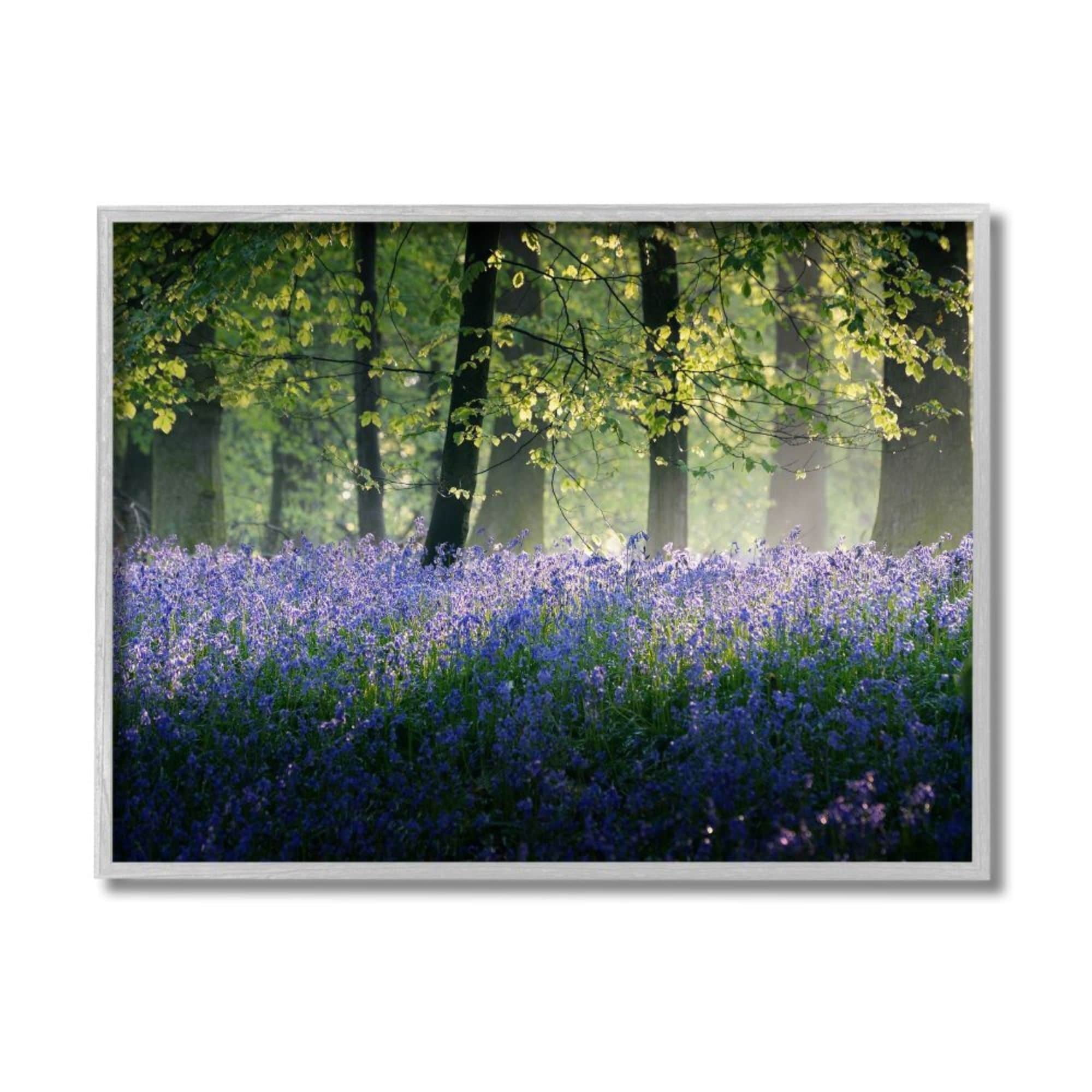 Stupell Industries Floral Lavender Field Morning Tree Forest Light Design by Adelino Goncalves