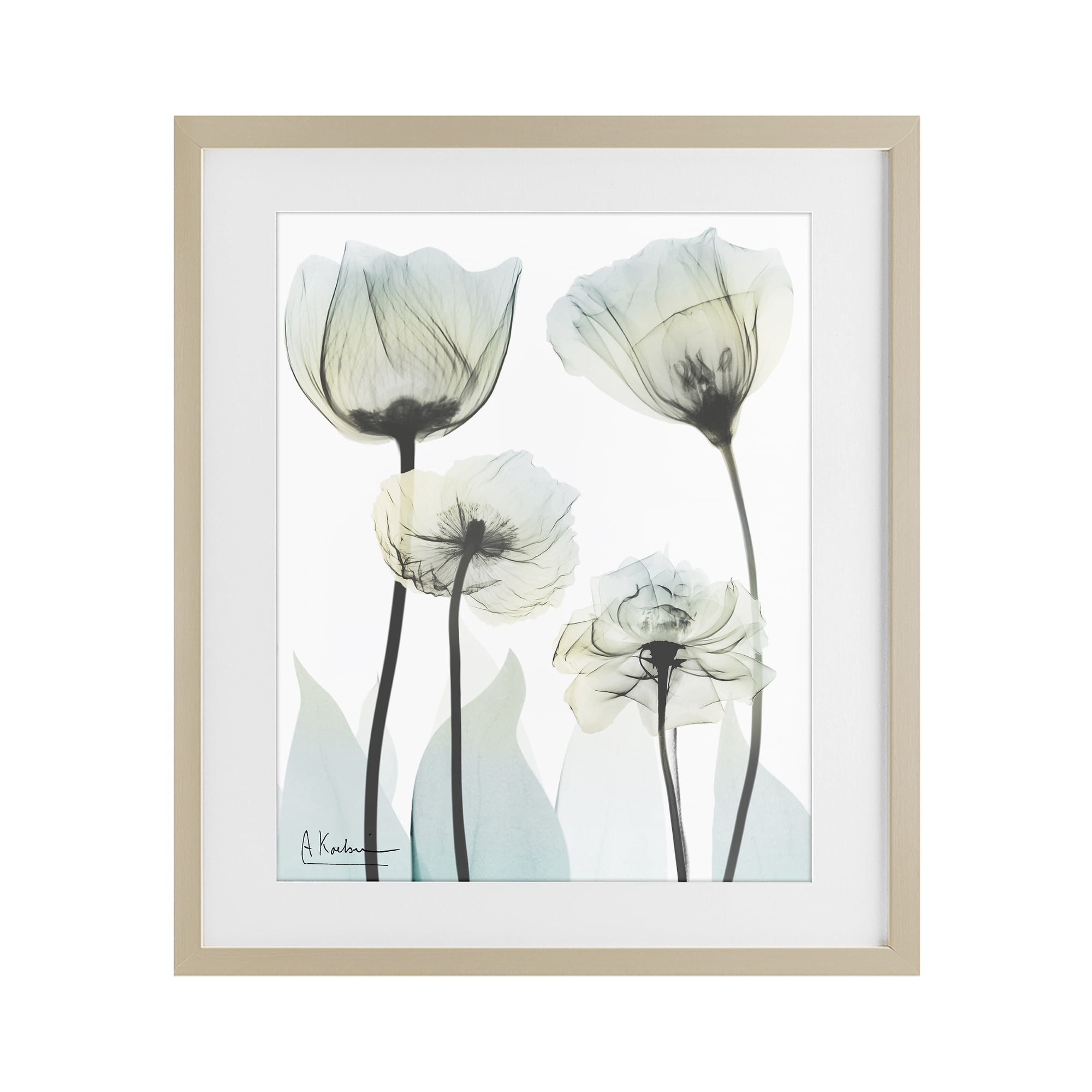 Stupell Industries Floral Luxury Of Creation Birch Framed Print Under Glass, design by Albert Koetsier