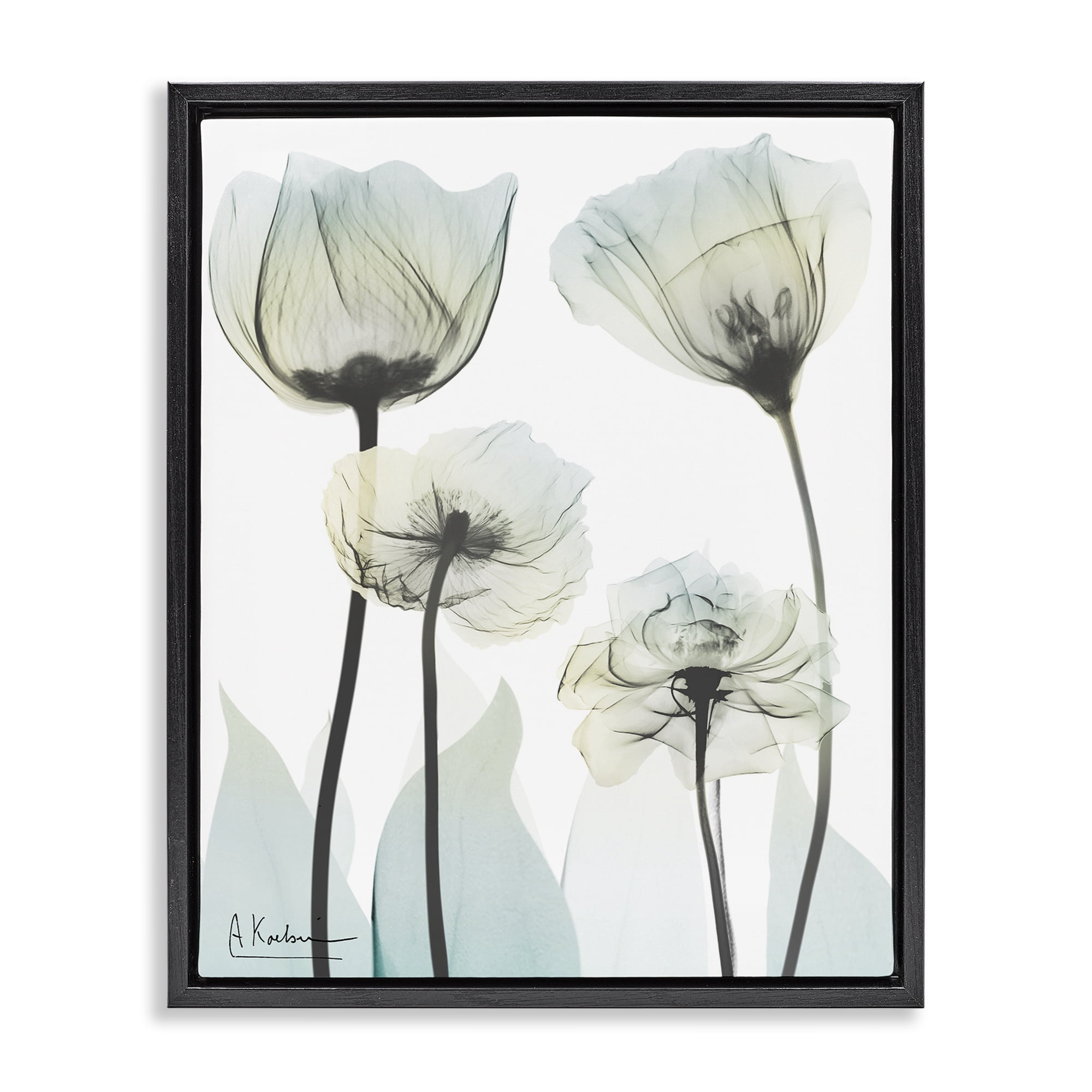 Stupell Industries Floral Luxury Of Creation Black Framed Floater Canvas Wall Art, design by Albert Koetsier