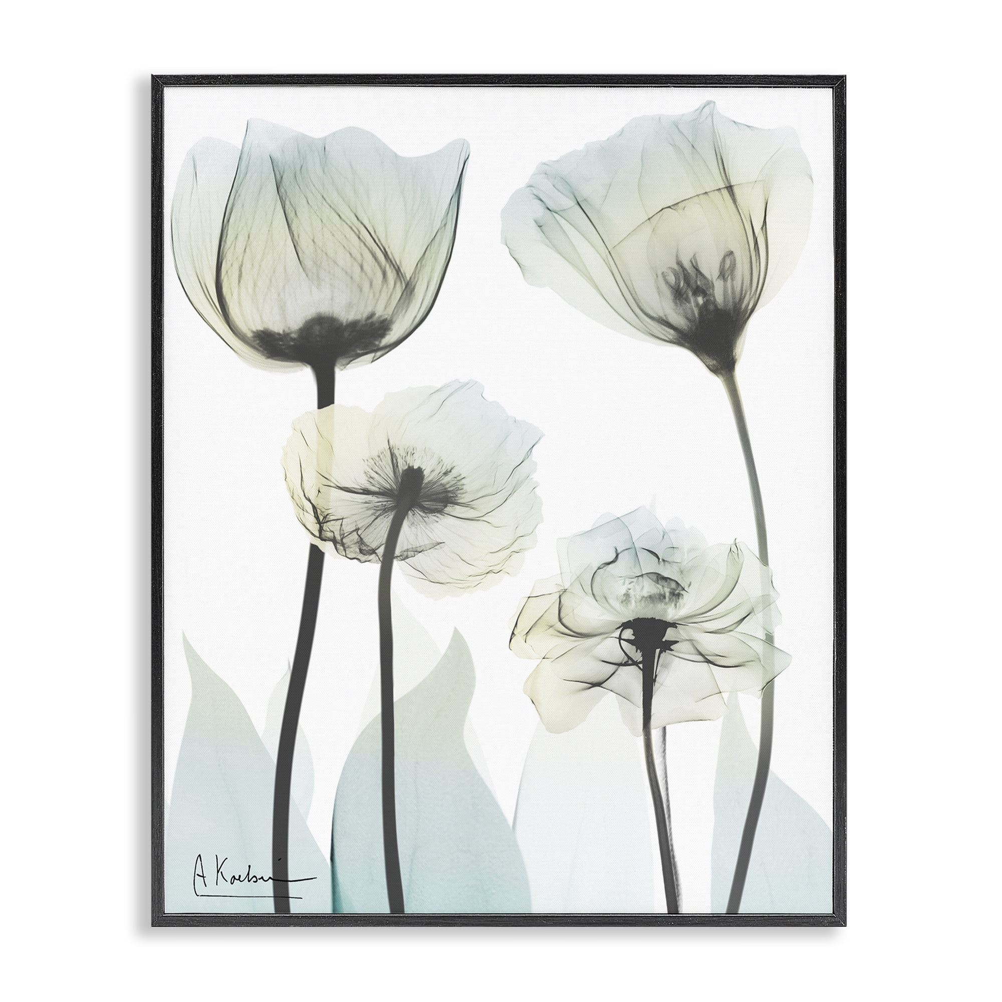 Stupell Industries Floral Luxury Of Creation Black Framed Giclee Art, design by Albert Koetsier