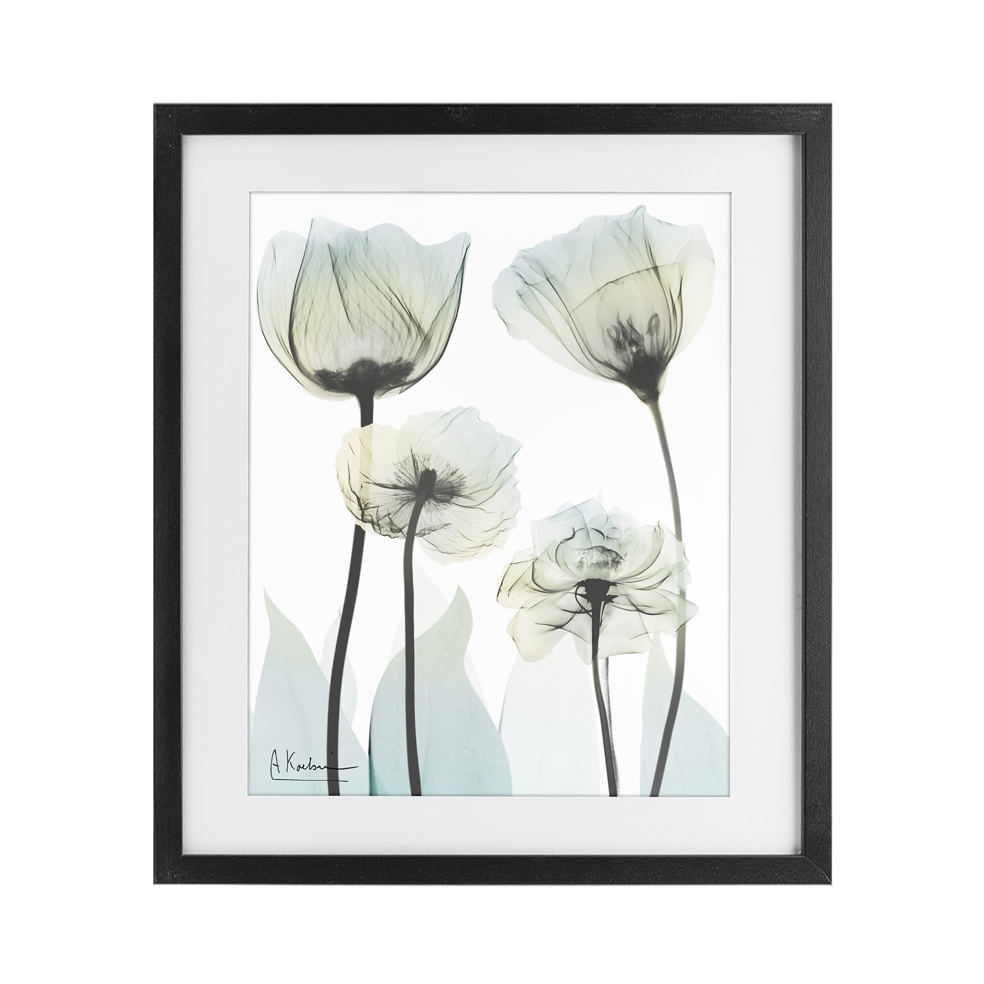 Stupell Industries Floral Luxury Of Creation Black Framed Print Under Glass, design by Albert Koetsier