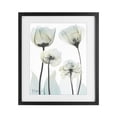 thumbnail image 1 of Stupell Industries Modern Floral Luxury Of Creation Black Framed Print Under Glass, 17 x 21, by Albert Koetsier, 1 of 8