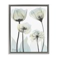thumbnail image 1 of Stupell Industries Modern Floral Luxury Of Creation Gray Floating Frame Canvas Art, 17 x 21, by Albert Koetsier, 1 of 8