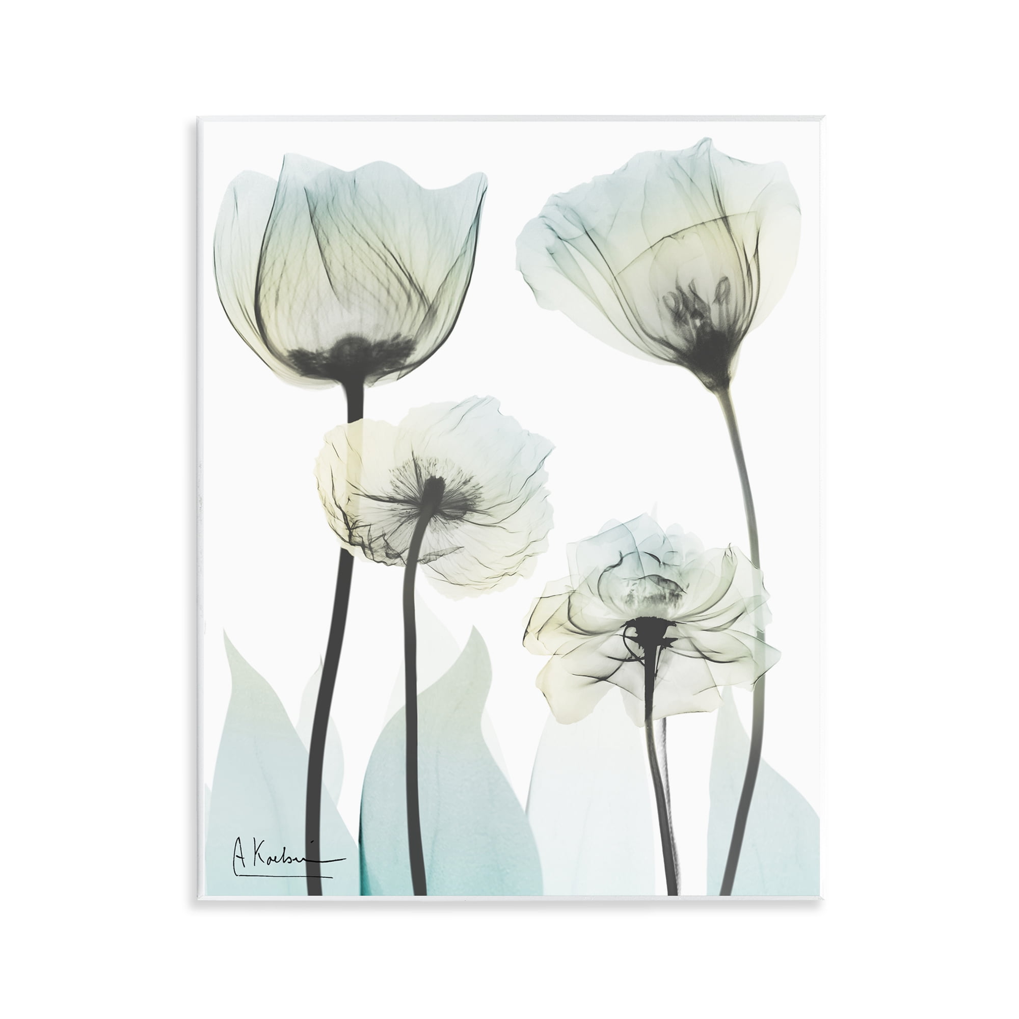 Stupell Industries Floral Luxury Of Creation Wall Plaque Art, design by Albert Koetsier