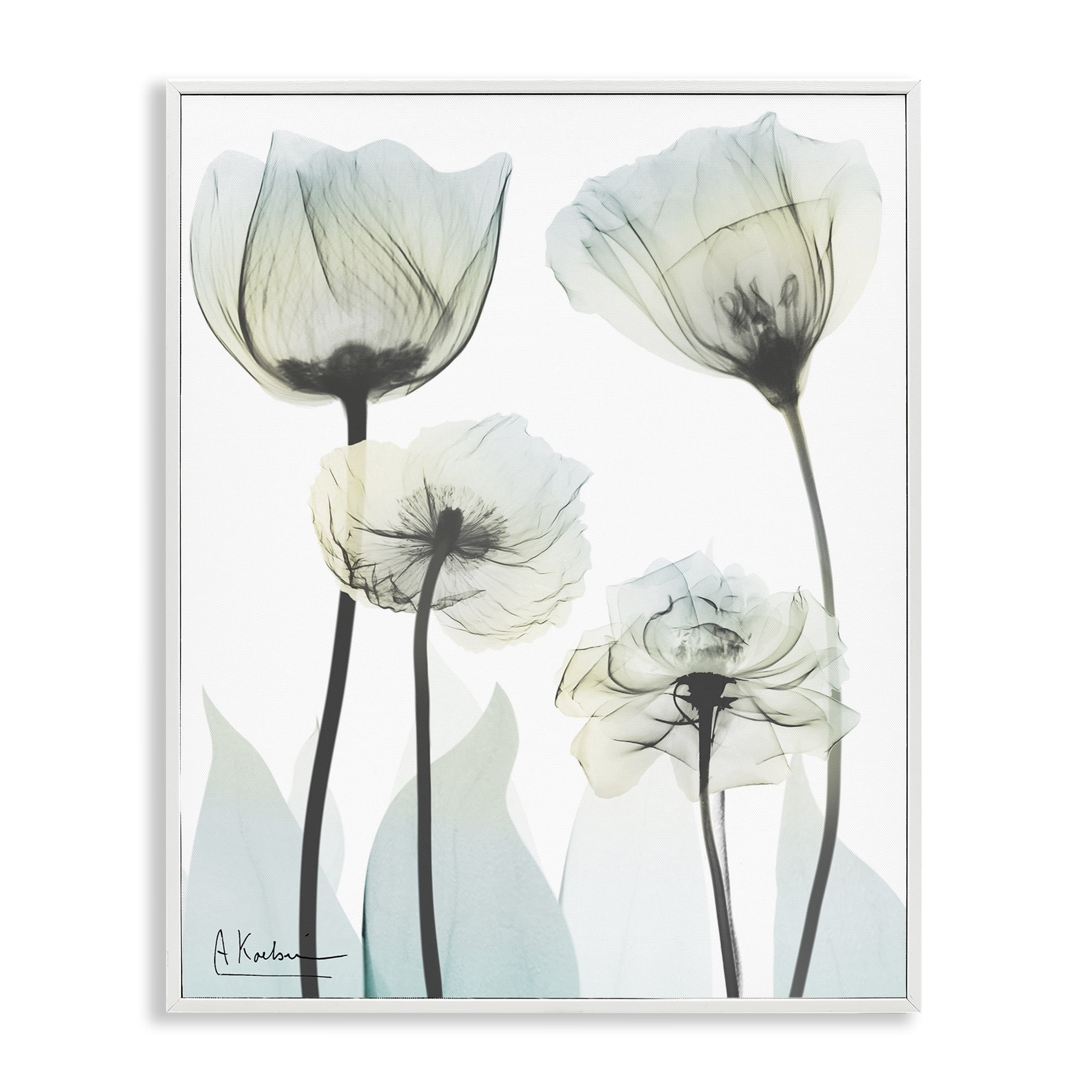Stupell Industries Floral Luxury Of Creation White Framed Giclee Art, design by Albert Koetsier