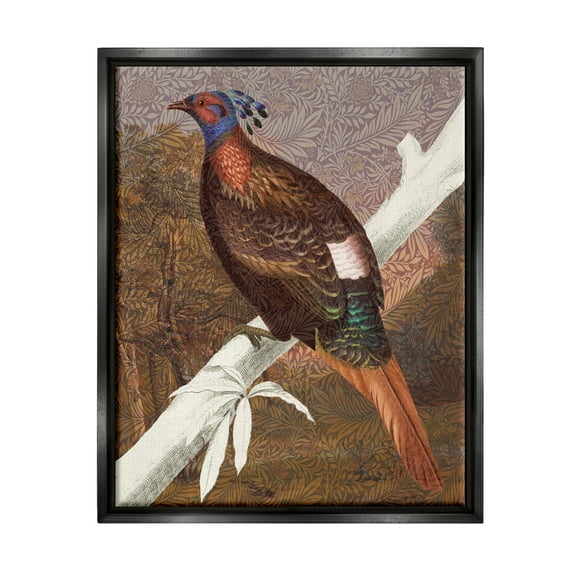 Stupell Industries Floral Patterned Pheasant Animals & Insects Painting Black Floater Framed Art Print Wall Art, 17 x 21
