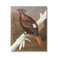 thumbnail image 1 of Stupell Industries Floral Patterned Pheasant Animals & Insects Painting Gallery Wrapped Canvas Print Wall Art, 36 x 48, 1 of 7