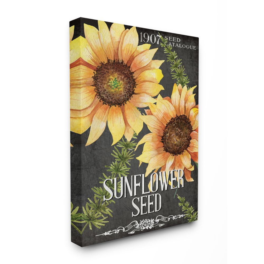 Stupell Industries Floral Sunflower Seed Vintage Catalog Design Canvas Wall Art Design by Kim Allen