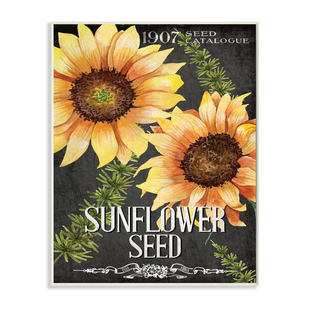 Stupell Industries Floral Sunflower Seed Vintage Catalog Design Wall Plaque Design by Kim Allen, 13" x 19"