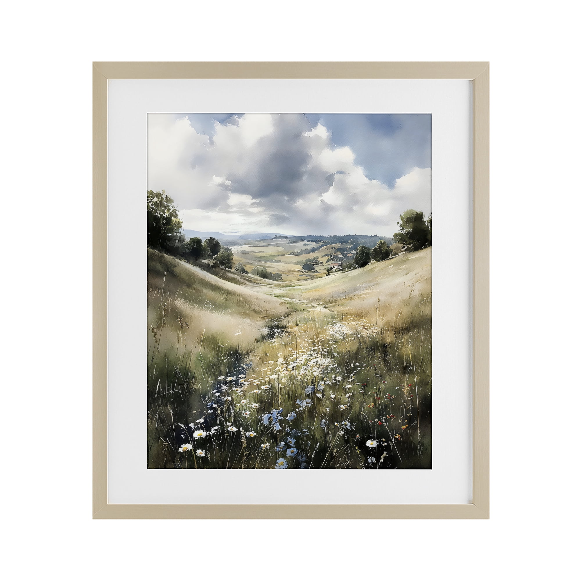 Stupell Industries Floral Valley of Wild Daisies Birch Framed Print Under Glass, design by Franklyn Gregory