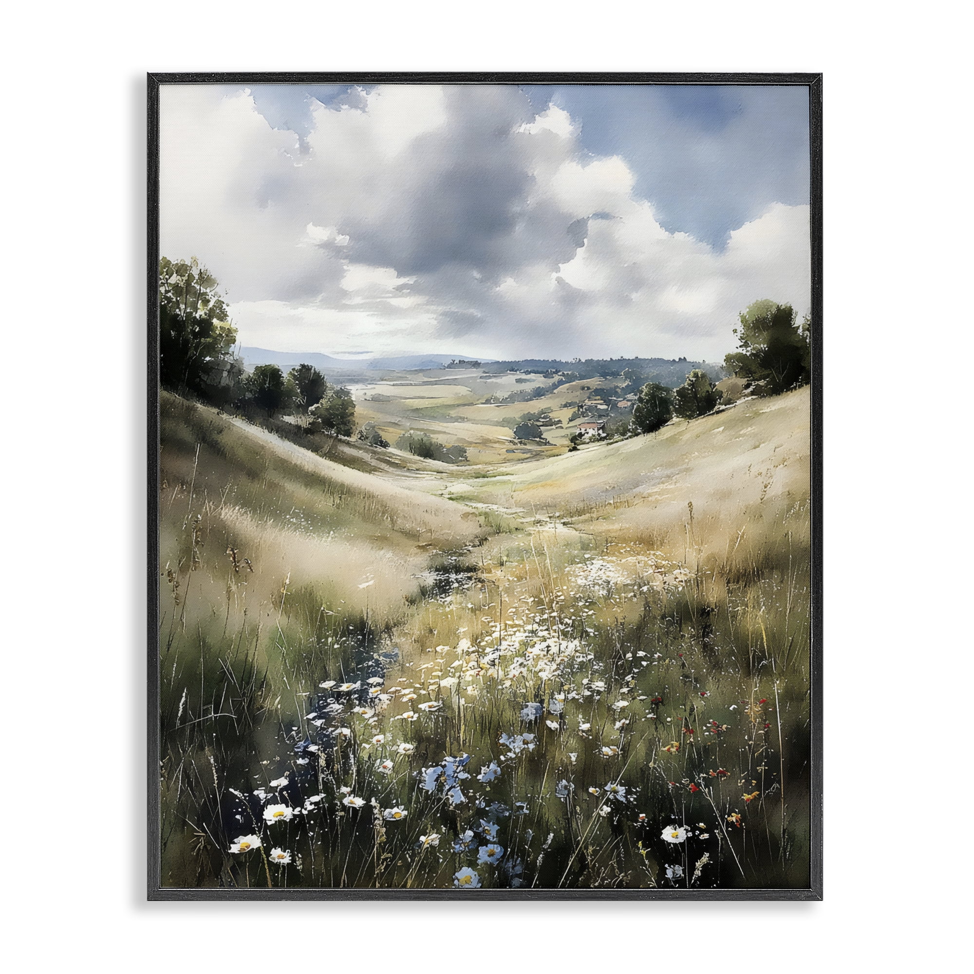 Stupell Industries Floral Valley of Wild Daisies Black Framed Giclee Art, design by Franklyn Gregory