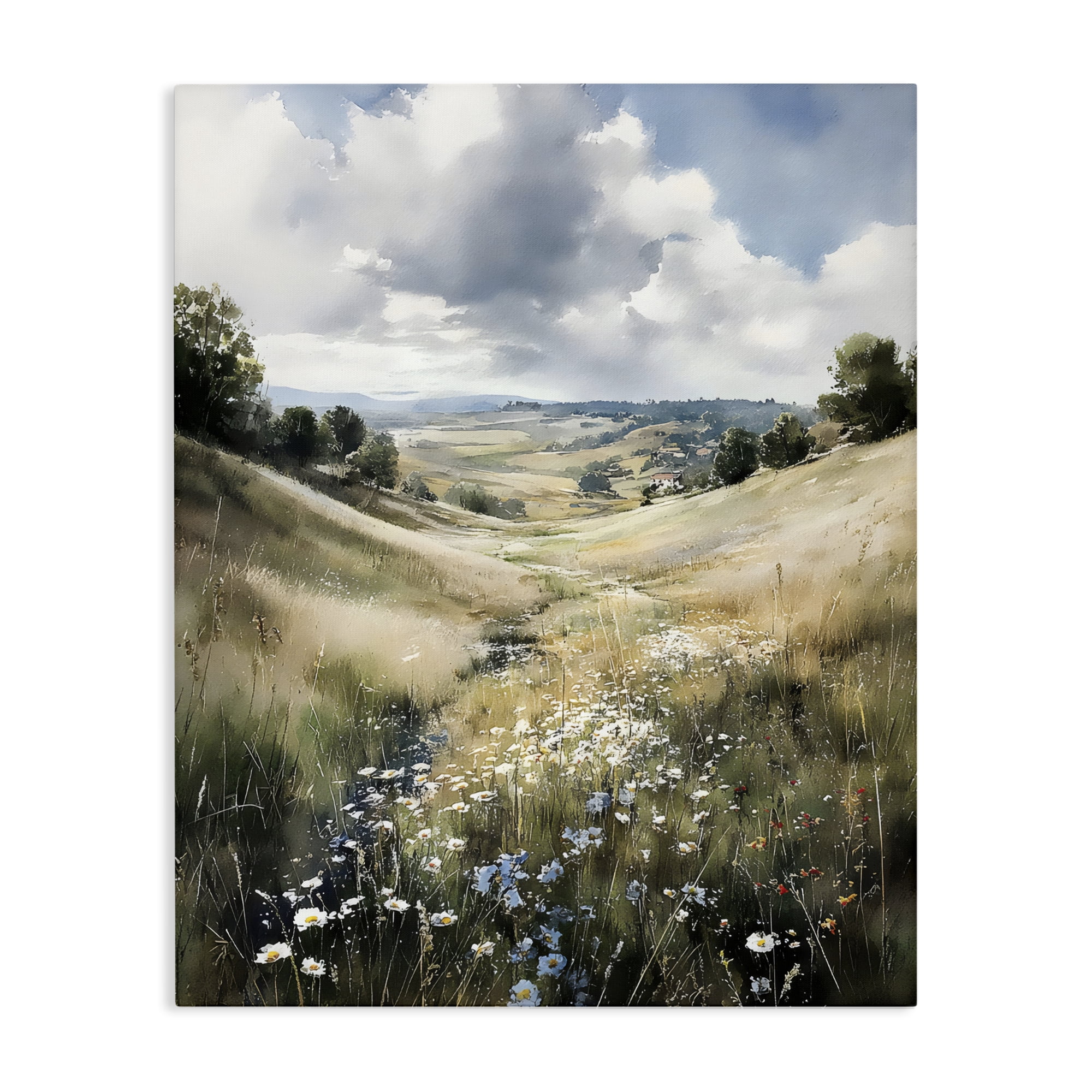 Stupell Industries Floral Valley of Wild Daisies Canvas Wall Art, design by Franklyn Gregory