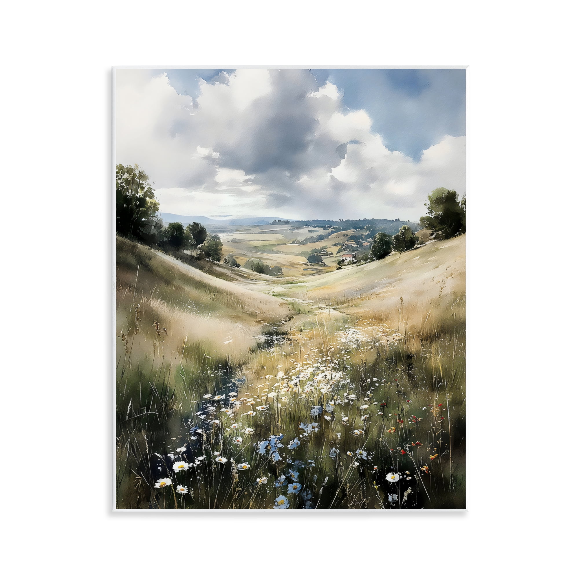 Stupell Industries Floral Valley of Wild Daisies Wall Plaque Art, design by Franklyn Gregory