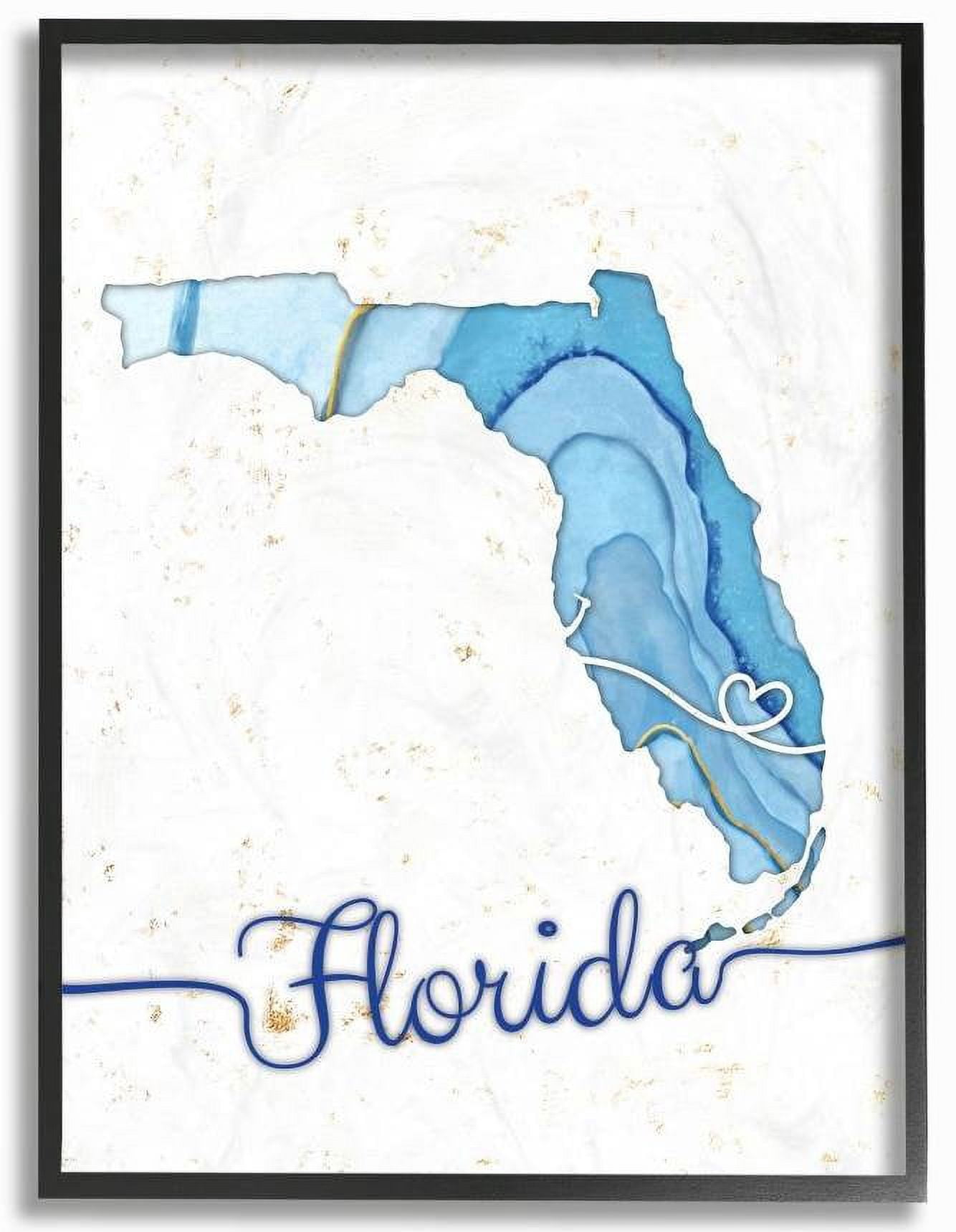 Stupell Industries Florida Agate Blue US State Design Framed Wall Art by Ziwei Li