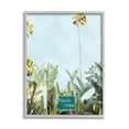 thumbnail image 1 of Stupell Industries Florida Palms Botanicals Botanical & Floral Painting Gray Framed Art Print Wall Art, 11 x 14, 1 of 8