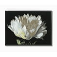 thumbnail image 1 of Stupell Industries Flower Bloom Gold White Painting Framed Wall Art by Third and Wall, 1 of 1