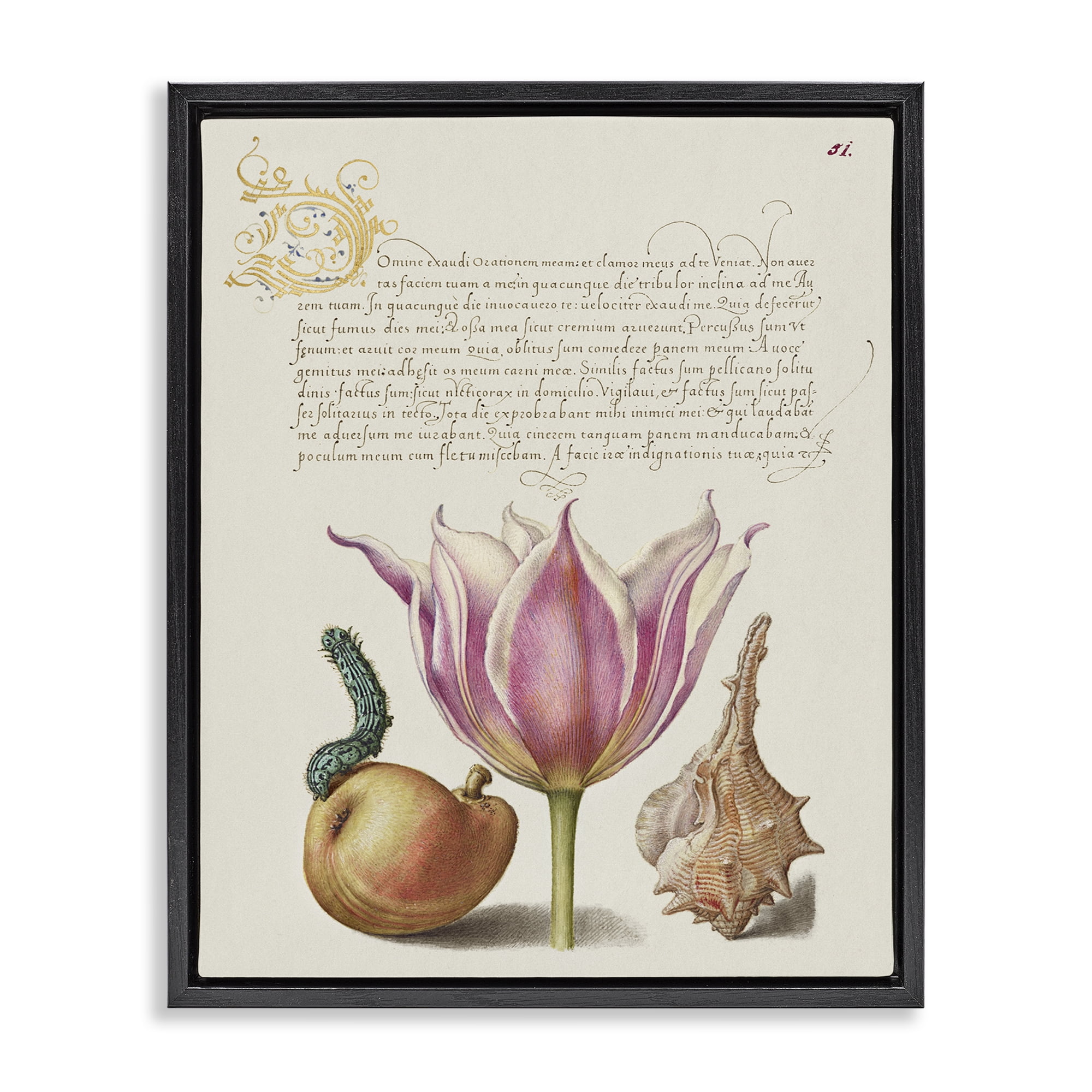 Stupell Industries Flower & Bug Study Page Text & Numbers Painting Black Floater Framed Canvas Art Print Wall Art, 25 x 31